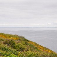 DSC_1920