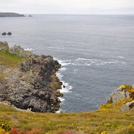DSC_1929