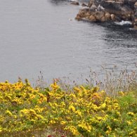 DSC_1932