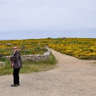 DSC_1941