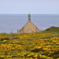 DSC_1942