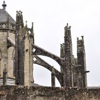 DSC_2230