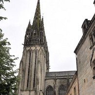 DSC_2232