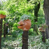 IMG_0086