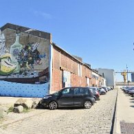 IMG_2895