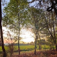 IMG_1547