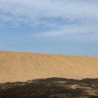 IMG_1628