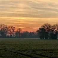 IMG_0949