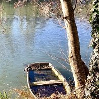 IMG_0957