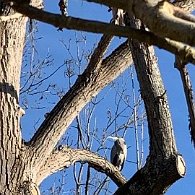 IMG_0960