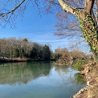 IMG_0961