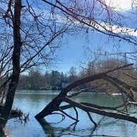 IMG_0964