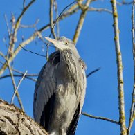 IMG_3741
