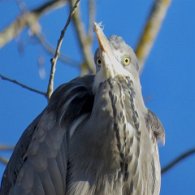 IMG_3742