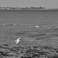 DSC_0812