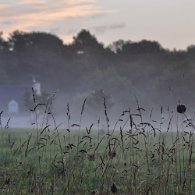 DSC_0048