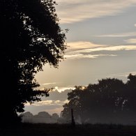 DSC_0053