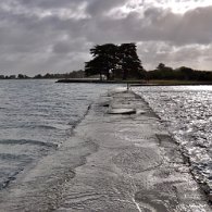 DSC_0423