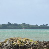 DSC_0593