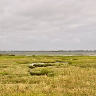 DSC_0635