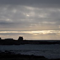 DSC_0523
