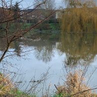 IMG_6544