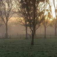 IMG_6569