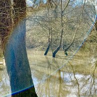 IMG_7121