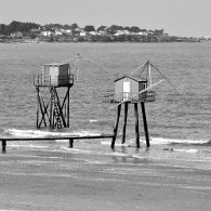 IMG_7116