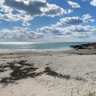 IMG_1219