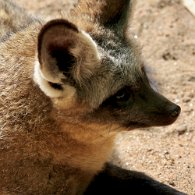 R6OL0774