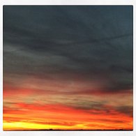 IMG_7339